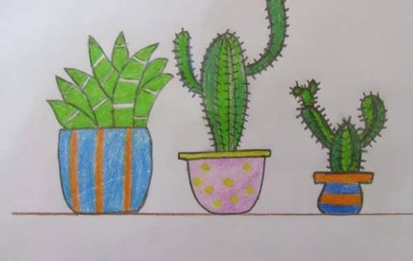 عکس نقاشی کاکتوس ساده