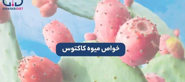 عکس میوه های کاکتوس