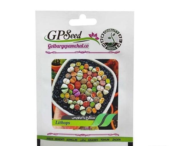عکس گل کاکتوس سنگی