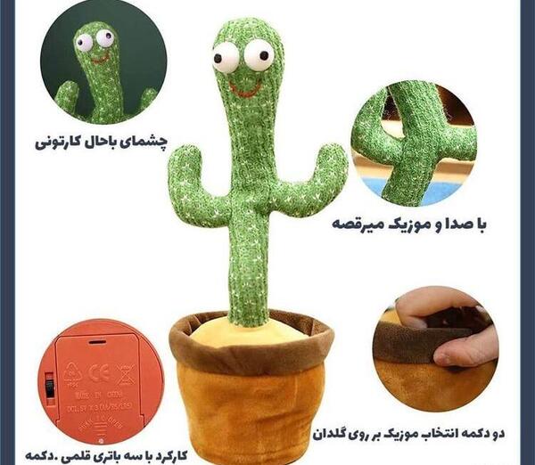 عکس شارژر کاکتوس سخنگو