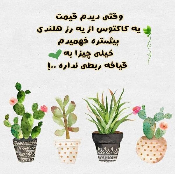 عکس پروفایل کاکتوس فانتزی