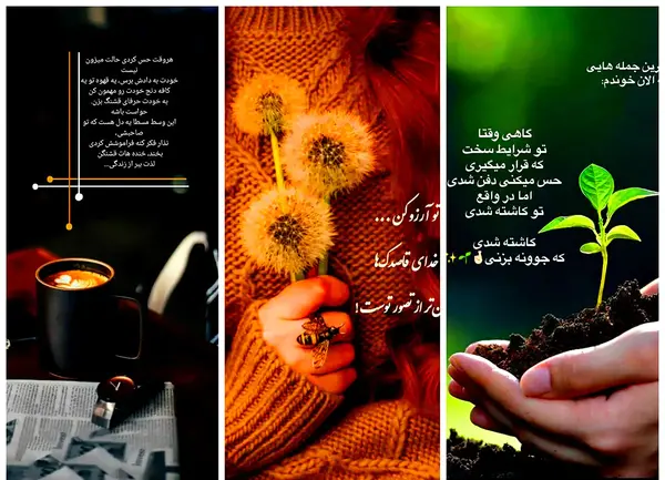 عکس نوشته کاکتوس برای پروفایل