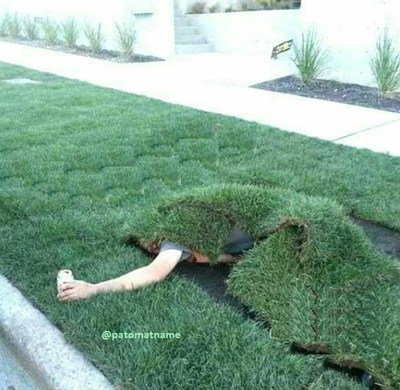 عکس گره زدن سبزه سیزده بدر