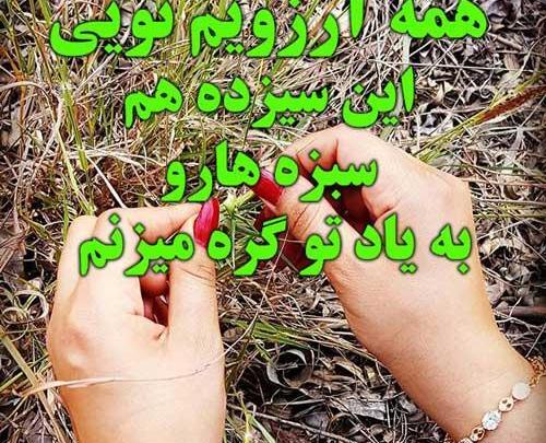عکس گره زدن سبزه سیزده بدر
