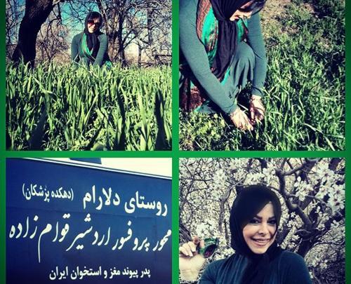عکس گره زدن سبزه سیزده بدر