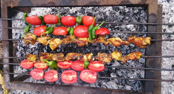 عکس کباب سیزده بدر