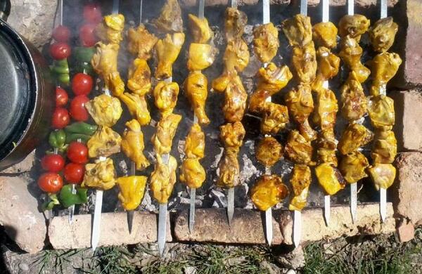عکس کباب سیزده بدر