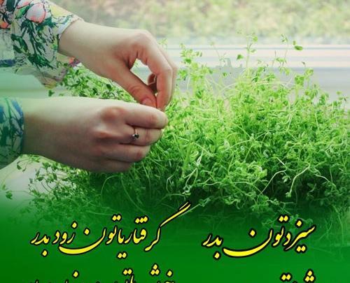 عکس برای تبریک سیزده بدر