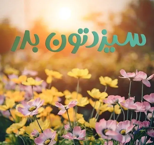 عکس و متن تبریک سیزده بدر
