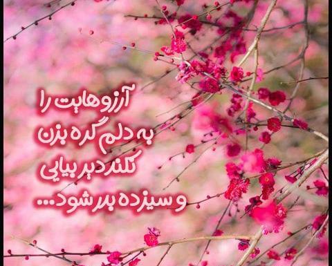 عکس پروفایل سیزده بدر مبارک