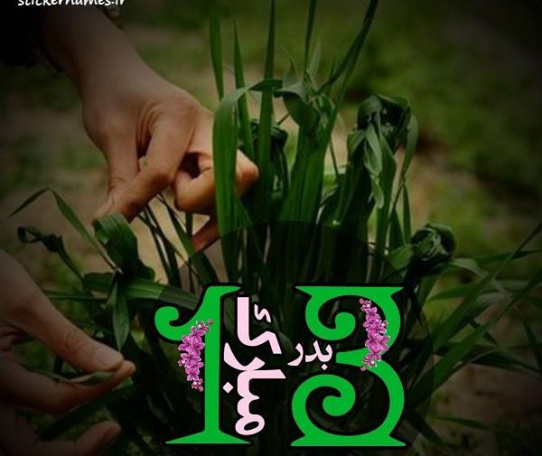 عکس پروفایل برای سیزده بدر