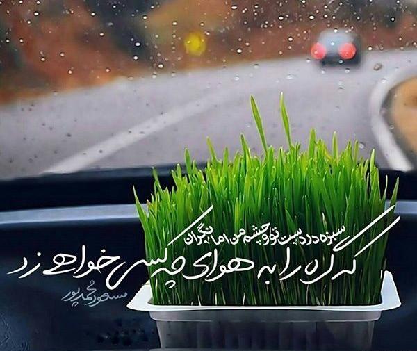 عکس برای سیزده بدر مبارک