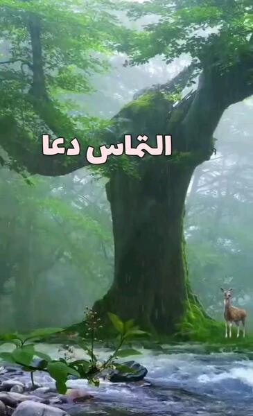 عکس التماس دعا در ماه رمضان