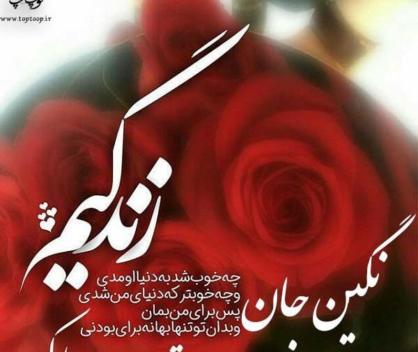 عکس کیک تولد نگین جان تولدت مبارک