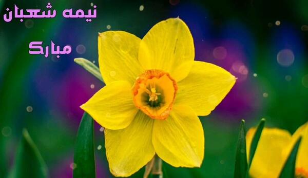 عکس متحرک نیمه شعبان