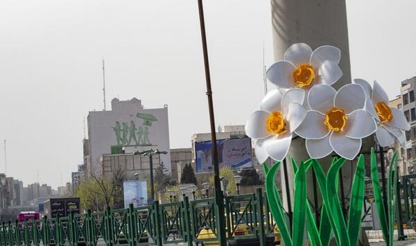 عکس گل نیمه شعبان
