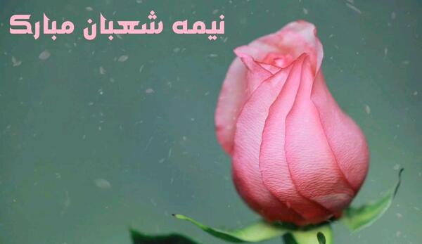 عکس متحرک تبریک نیمه شعبان