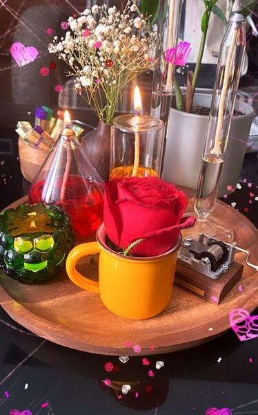 عکس همسر جدید بهنوش طباطبایی کیست