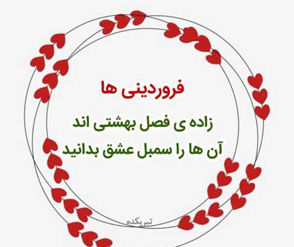عکس پروفایل فروردین ماهی