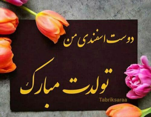عکس پروفایل تولد اسفند ماهی جدید