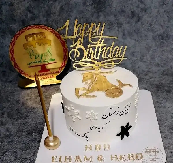 عکس کیک تولد پسرانه دی ماهی