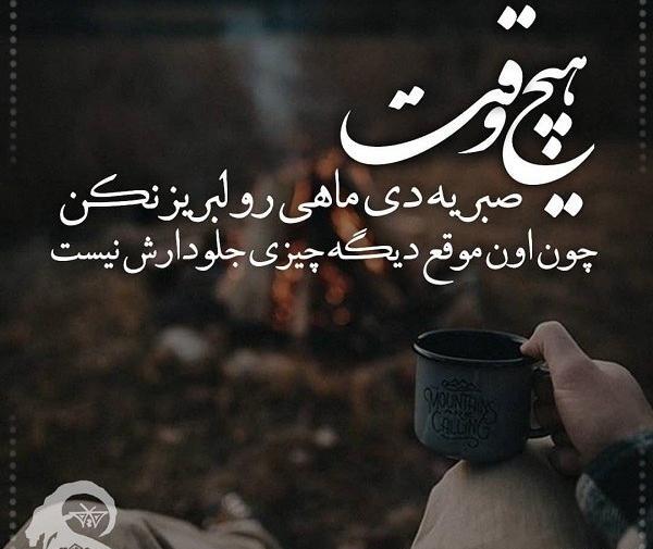 عکس ماشین دی ماهی ها