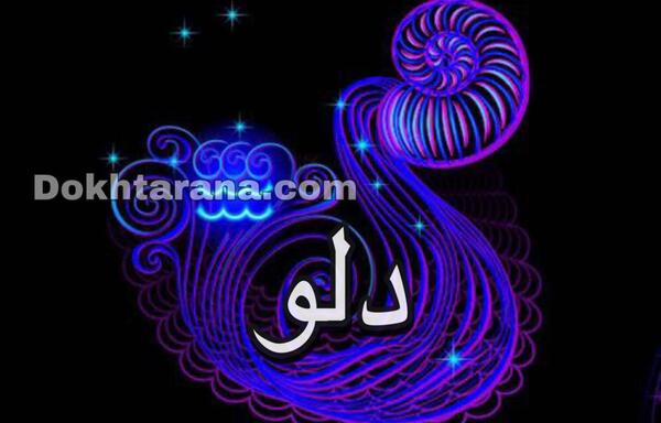 عکس دلو ماه بهمن