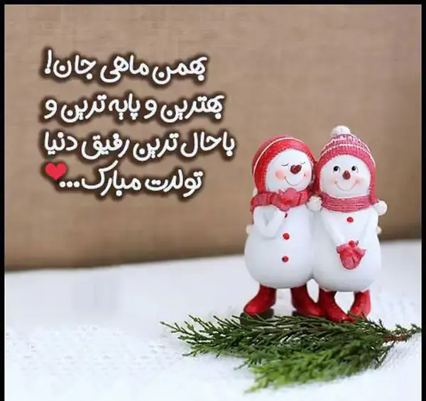 عکس برای تولد بهمن ماهی ها