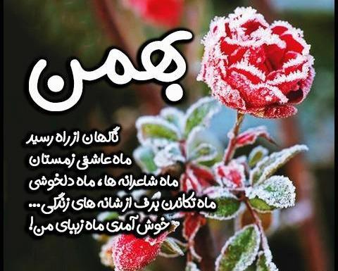 عکس نوشته بهمن ماهی ام تولدم مبارک