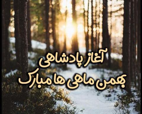 عکس پروفایل برای تولد بهمن ماهی