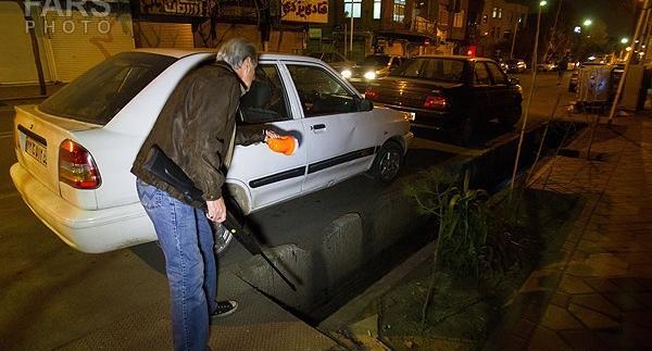 عکس موش های تهران