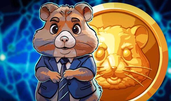 عکس موش بازی همستر