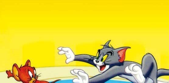 عکس از موش و گربه
