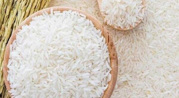 عکس فضله موش فاضلاب