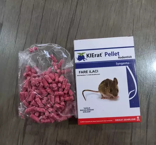 عکس مرگ موش سیاه