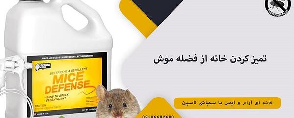عکس فضله موش صحرایی