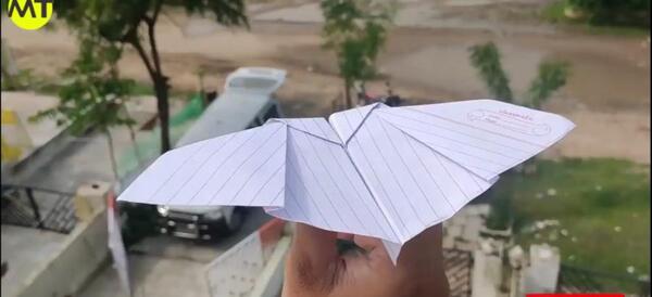عکس حیوان موشکا