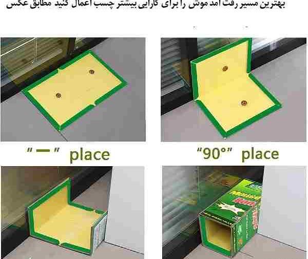 عکس چسب تله موش