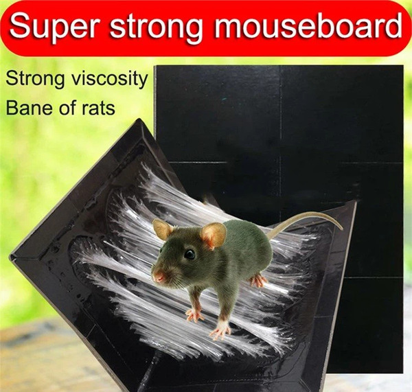عکس چسب تله موش