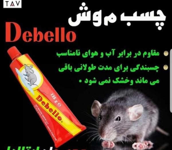 عکس موش روی چسب موش