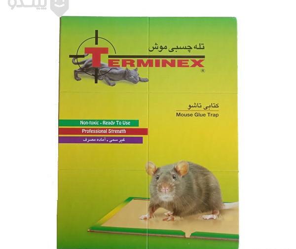 عکس تله موش چسبی