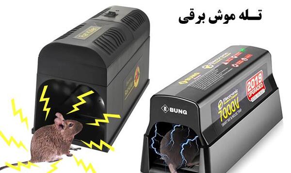 عکس تله موش چسبی