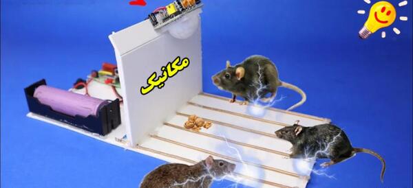عکس تله موش جدید