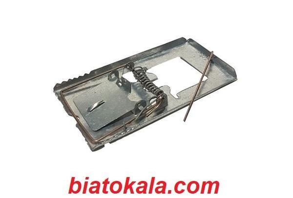 عکس تله موش جدید