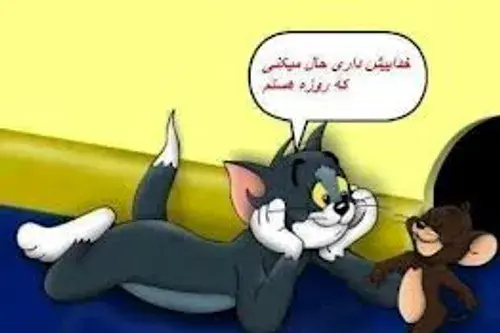 عکس های موش و پشک