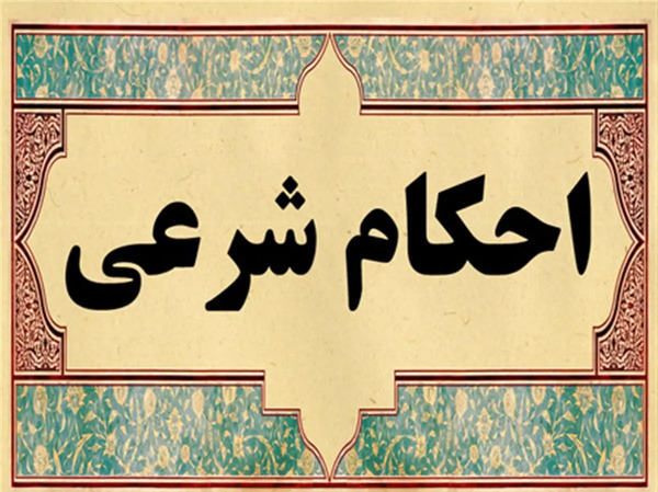 عکس فضله موش پخته شده