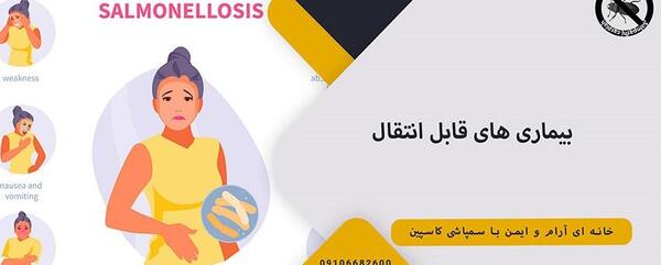 عکس فضله موش پخته شده