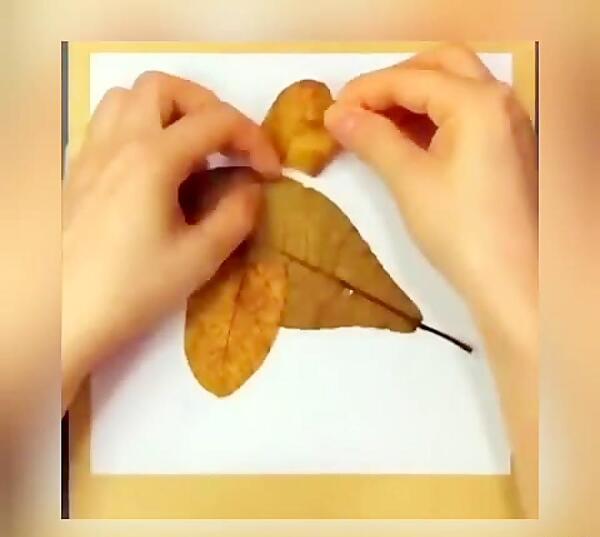 عکس موش با برگ درخت