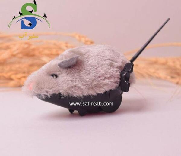 عکس اسباب بازی موش و گربه
