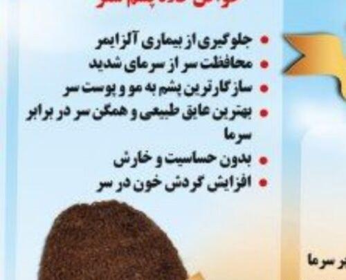 عکس کلاه پشم شتری